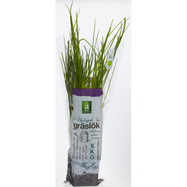 Gräslök Änglamark Krav
