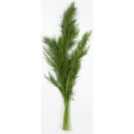 Dill Flow