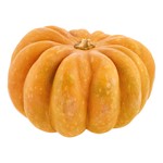 Pumpa Muskat Klass 1